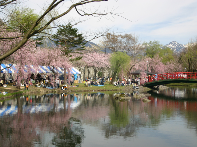 湯沢中央公園画像